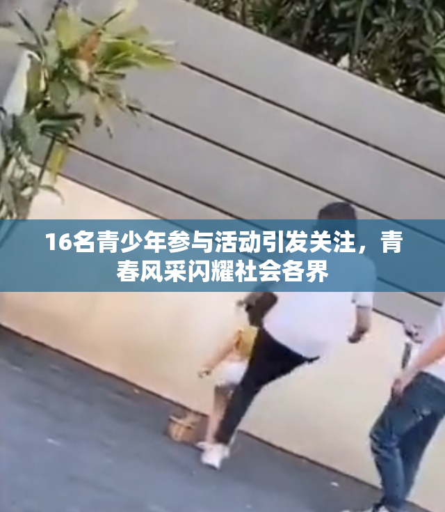 16名青少年参与活动引发关注，青春风采闪耀社会各界