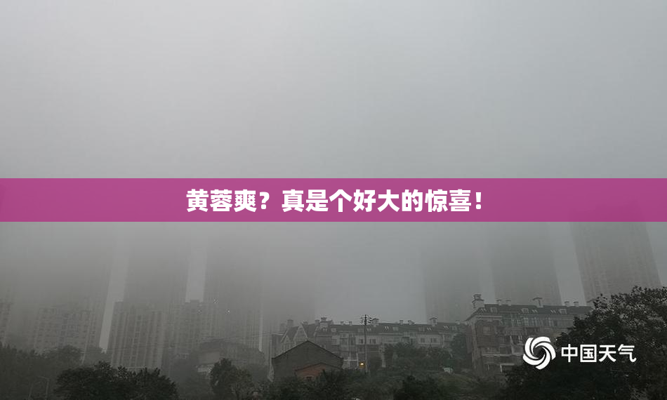 黄蓉爽？真是个好大的惊喜！