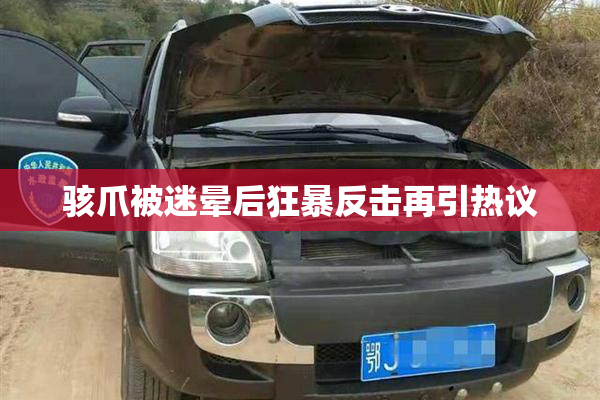 骇爪被迷晕后狂暴反击再引热议