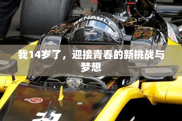 我14岁了，迎接青春的新挑战与梦想