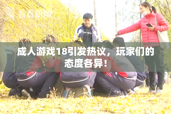 成人游戏18引发热议，玩家们的态度各异！