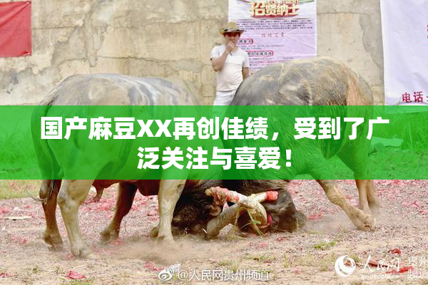 国产麻豆XX再创佳绩，受到了广泛关注与喜爱！