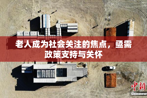 老人成为社会关注的焦点，亟需政策支持与关怀