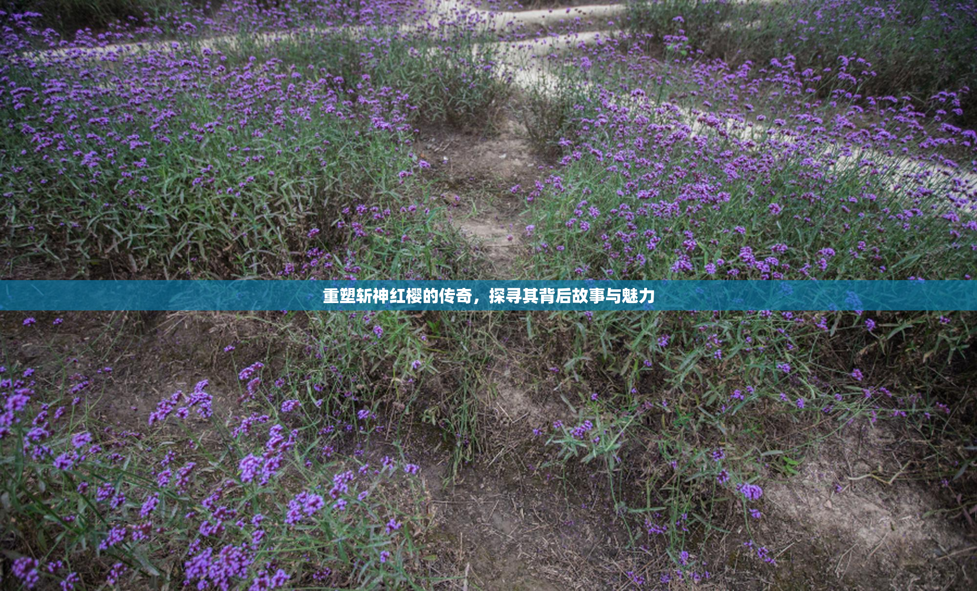 重塑斩神红樱的传奇，探寻其背后故事与魅力