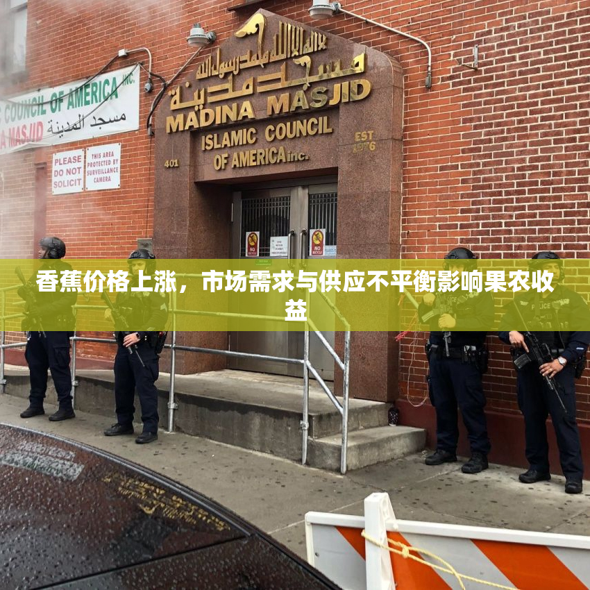 香蕉价格上涨，市场需求与供应不平衡影响果农收益