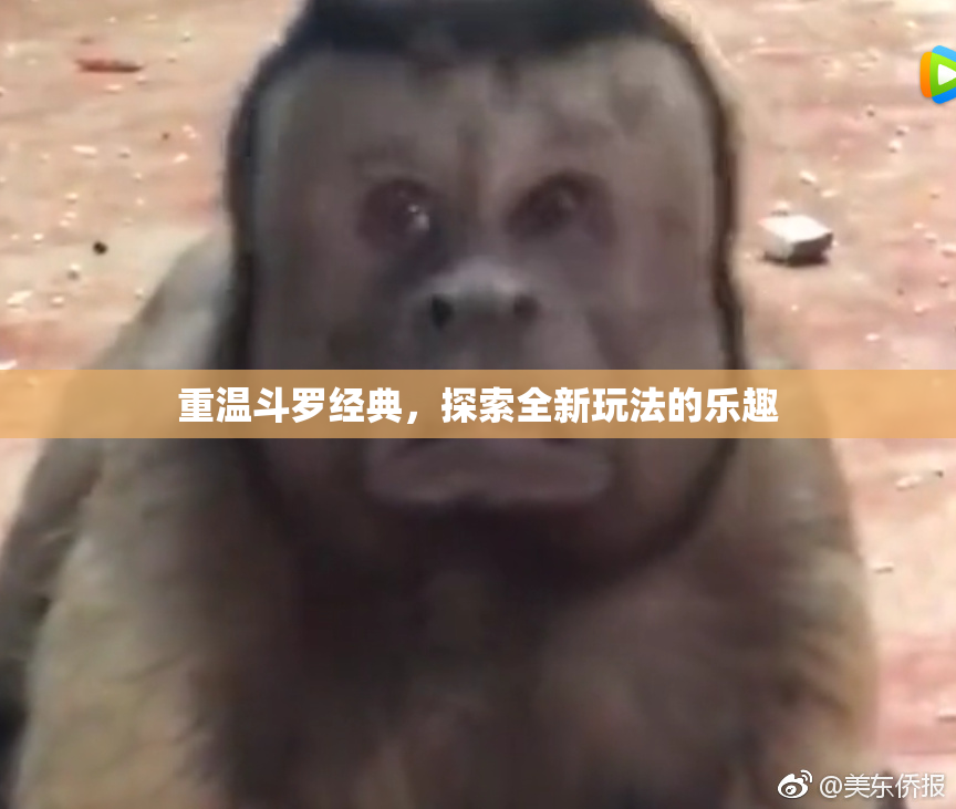 重温斗罗经典，探索全新玩法的乐趣