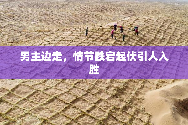 男主边走，情节跌宕起伏引人入胜