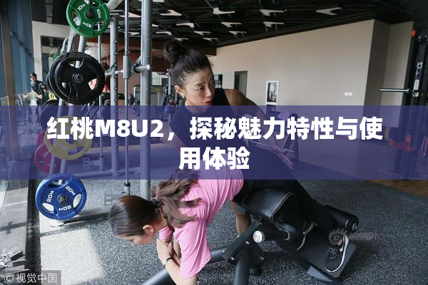 红桃M8U2，探秘魅力特性与使用体验