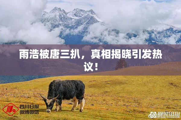 雨浩被唐三扒，真相揭晓引发热议！