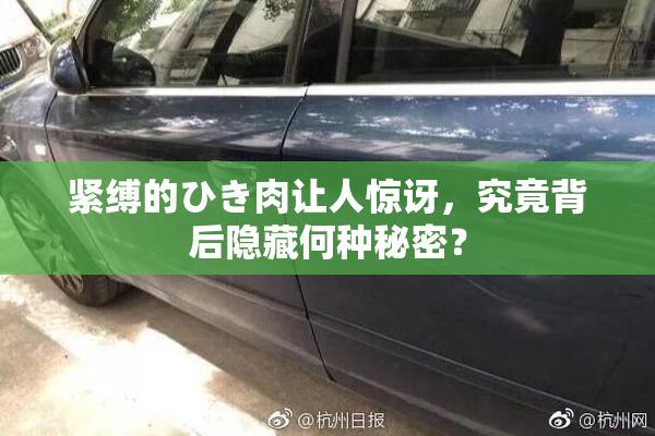 紧缚的ひき肉让人惊讶，究竟背后隐藏何种秘密？