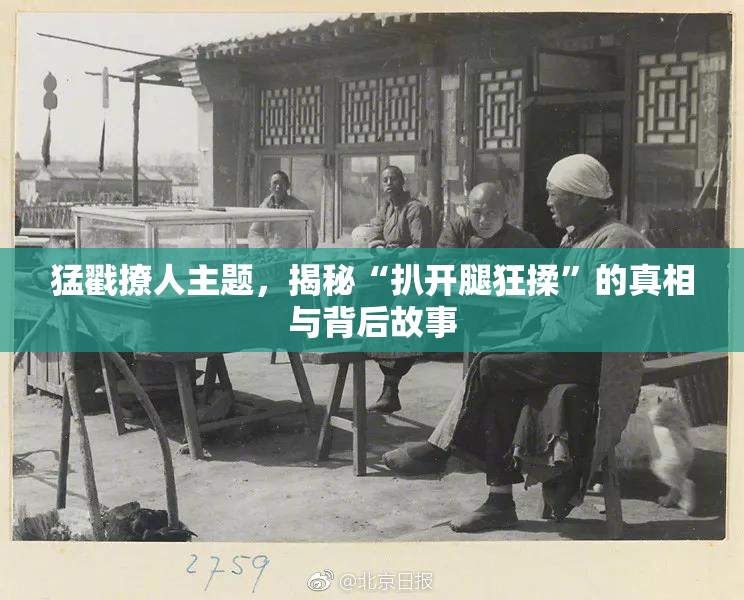 猛戳撩人主题，揭秘“扒开腿狂揉”的真相与背后故事