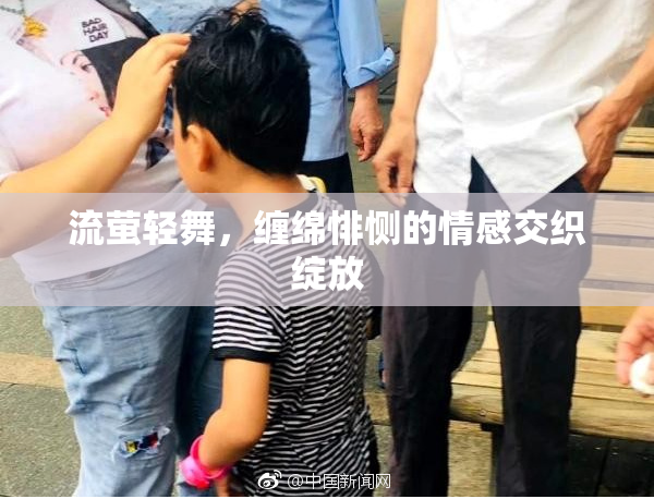 流萤轻舞，缠绵悱恻的情感交织绽放