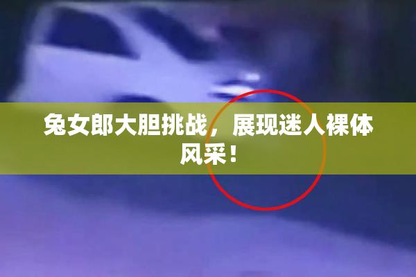 兔女郎大胆挑战，展现迷人裸体风采！