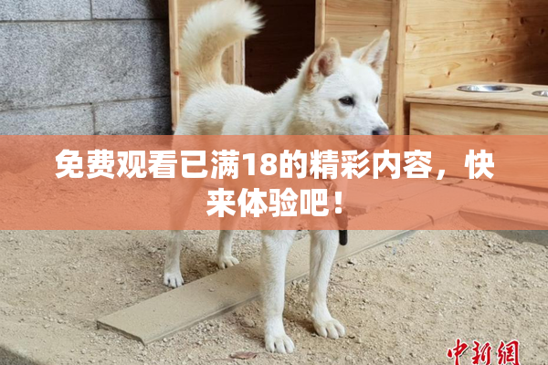 免费观看已满18的精彩内容，快来体验吧！
