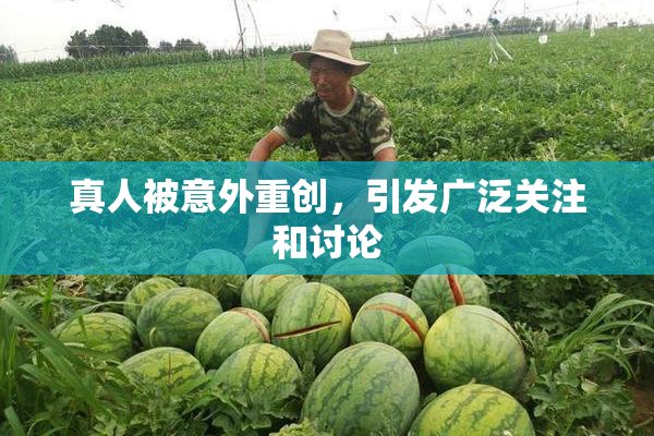 真人被意外重创，引发广泛关注和讨论