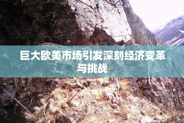 巨大欧美市场引发深刻经济变革与挑战