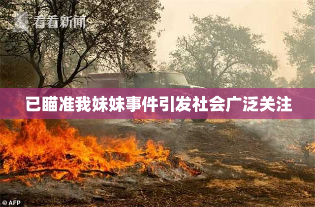 已瞄准我妹妹事件引发社会广泛关注
