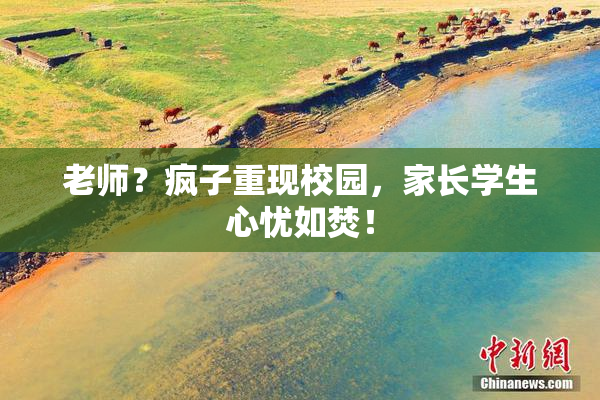 老师？疯子重现校园，家长学生心忧如焚！