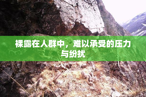 裸露在人群中，难以承受的压力与纷扰