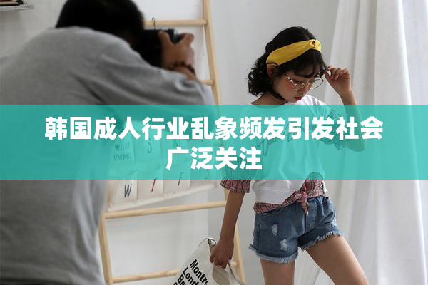 韩国成人行业乱象频发引发社会广泛关注