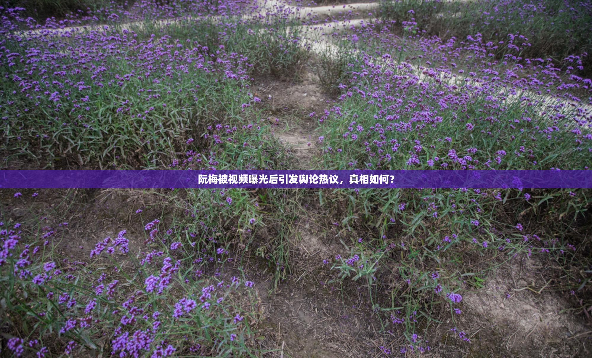 阮梅被视频曝光后引发舆论热议，真相如何？