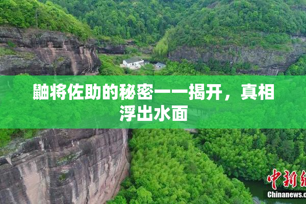 鼬将佐助的秘密一一揭开，真相浮出水面