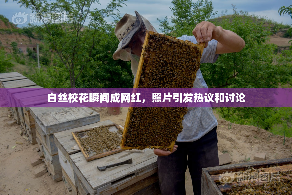 白丝校花瞬间成网红，照片引发热议和讨论