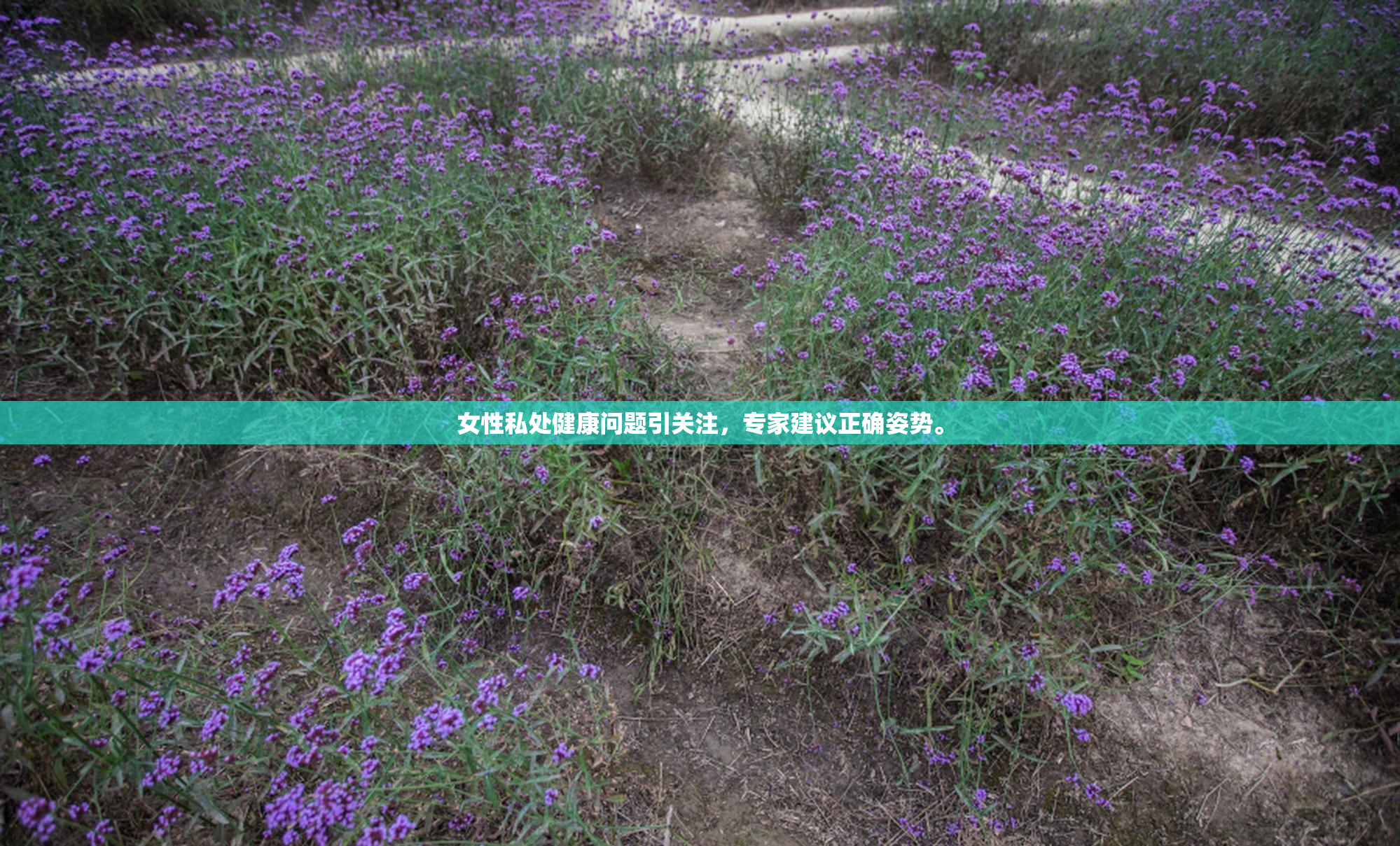 女性私处健康问题引关注，专家建议正确姿势。