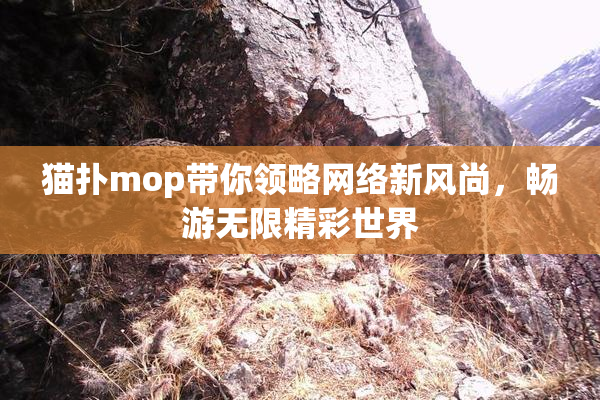 猫扑mop带你领略网络新风尚，畅游无限精彩世界