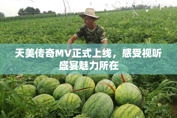 天美传奇MV正式上线，感受视听盛宴魅力所在