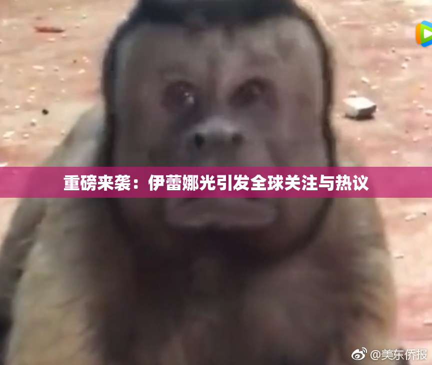 重磅来袭：伊蕾娜光引发全球关注与热议