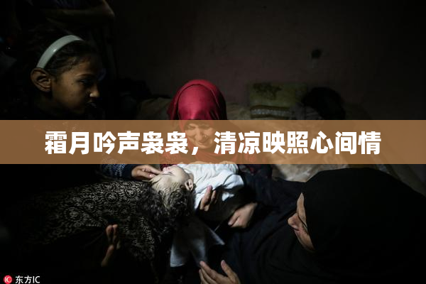 霜月吟声袅袅，清凉映照心间情