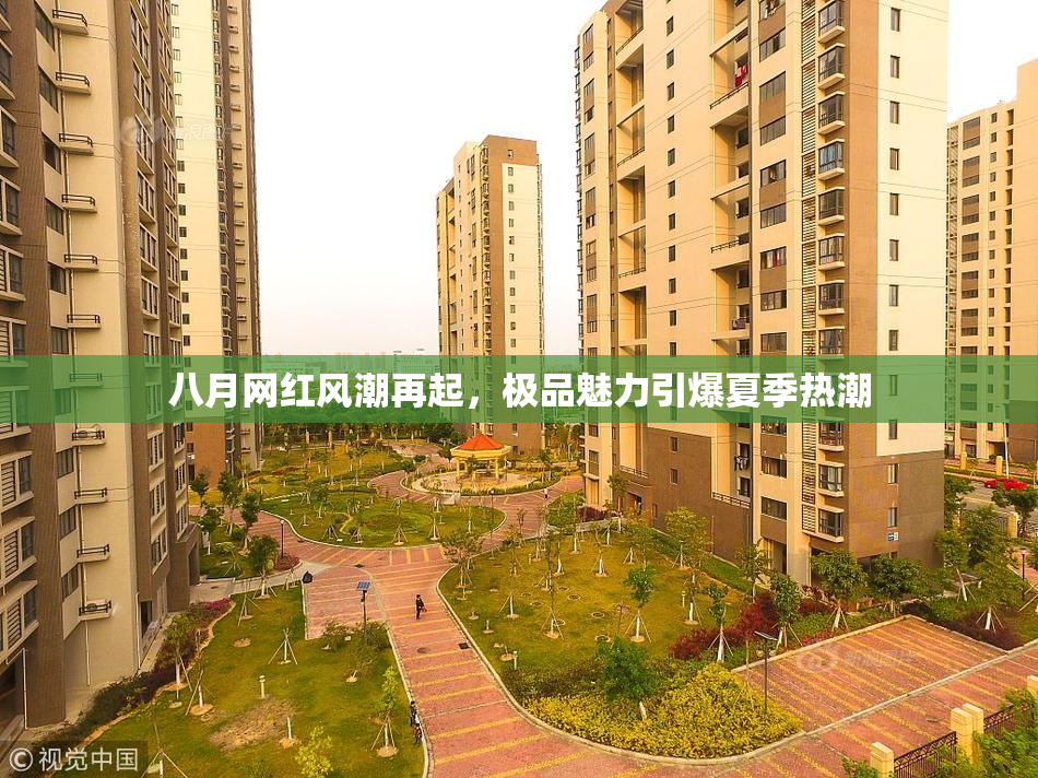 八月网红风潮再起，极品魅力引爆夏季热潮