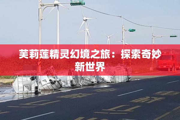 芙莉莲精灵幻境之旅：探索奇妙新世界