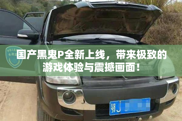国产黑鬼P全新上线，带来极致的游戏体验与震撼画面！