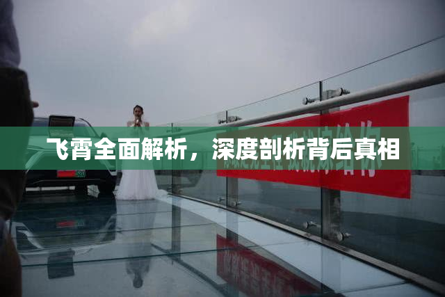飞霄全面解析，深度剖析背后真相