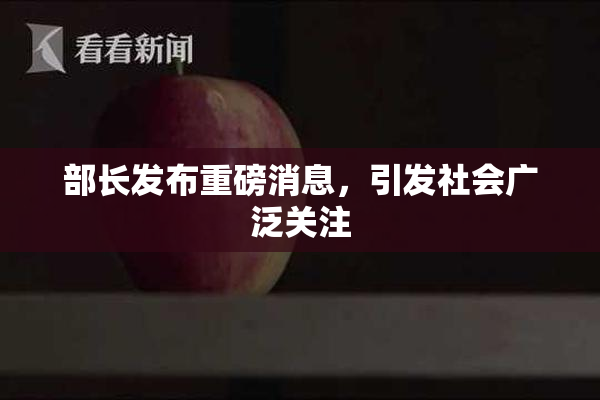 部长发布重磅消息，引发社会广泛关注
