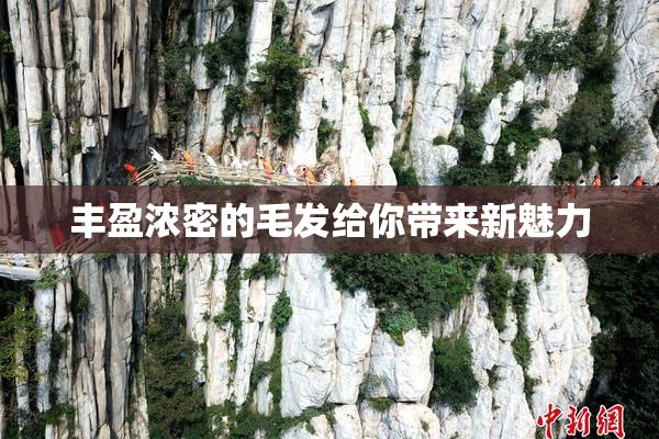 丰盈浓密的毛发给你带来新魅力