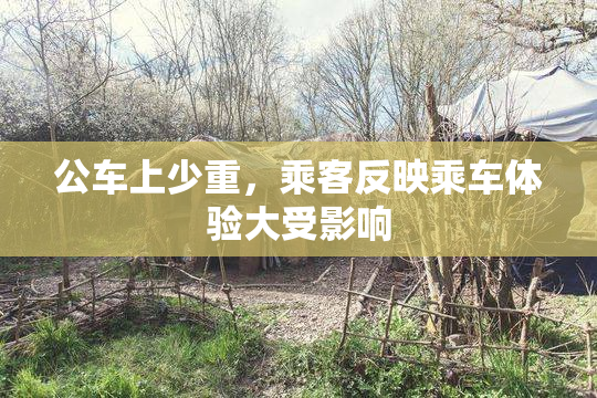 公车上少重，乘客反映乘车体验大受影响