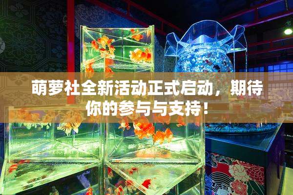 萌萝社全新活动正式启动，期待你的参与与支持！