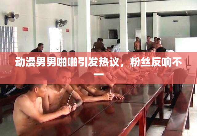 动漫男男啪啪引发热议，粉丝反响不一