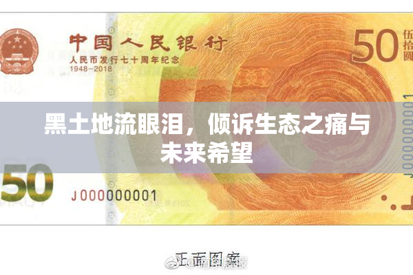 黑土地流眼泪，倾诉生态之痛与未来希望