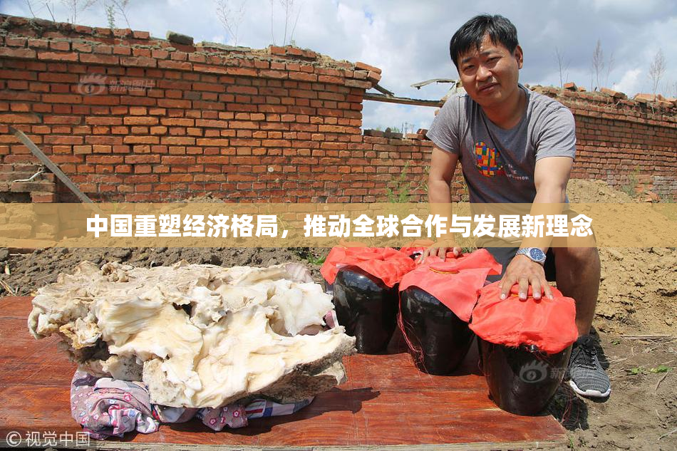 中国重塑经济格局，推动全球合作与发展新理念