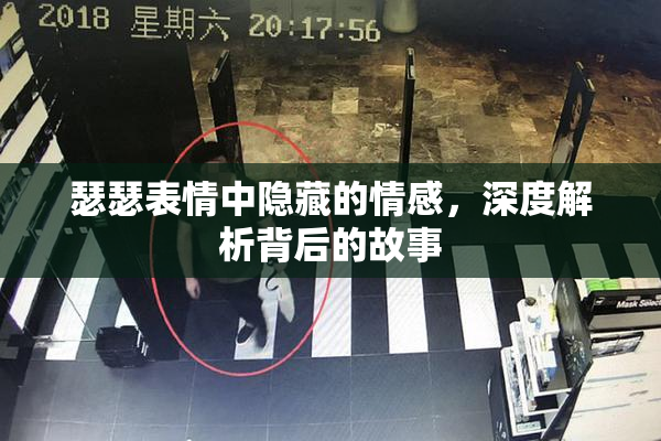瑟瑟表情中隐藏的情感，深度解析背后的故事