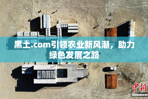 黑土.com引领农业新风潮，助力绿色发展之路