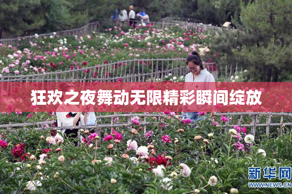狂欢之夜舞动无限精彩瞬间绽放
