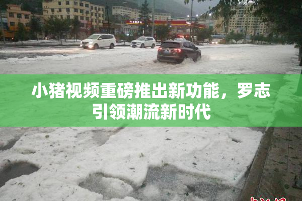小猪视频重磅推出新功能，罗志引领潮流新时代