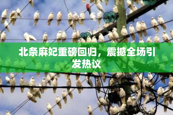 北条麻妃重磅回归，震撼全场引发热议