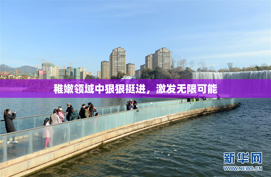 稚嫩领域中狠狠挺进，激发无限可能