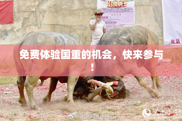 免费体验国重的机会，快来参与！